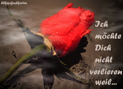 Dich verlieren nicht möchte ich